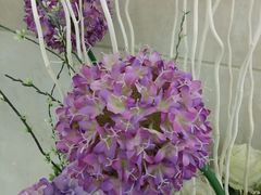 android_upload_pic-万达广场(福州金融街店)