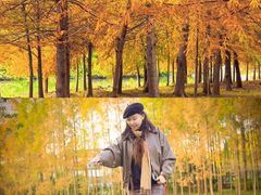 -上海海湾国家森林公园