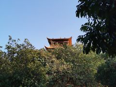 -大屏嶂森林公园