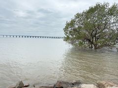 -宝安西湾红树林湿地公园