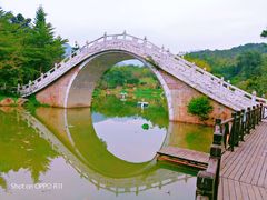 -田野绿世界
