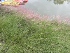 -嘉北郊野公园