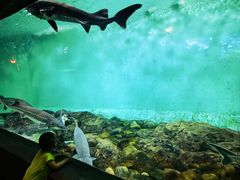 -太平洋海底世界