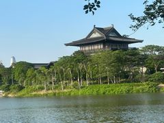 -海珠湖公园
