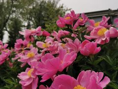 -盛世南宫影视城(北普陀影视城)
