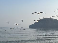 -棒棰岛宾馆景区