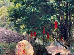 -大雁山风景区