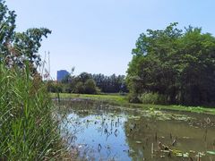 -白鹭湾湿地公园