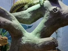 -石家庄市动物园