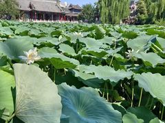 -莲池书院博物馆