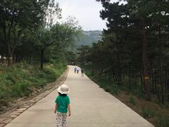 -鬼笑石后山停车场