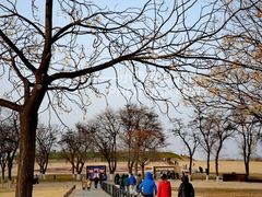 -汉长安城未央宫国家考古遗址公园