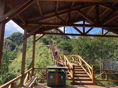 -大岭沟猕猴桃谷风景区