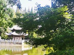 -习家池