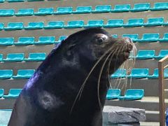 -哈尔滨波塞冬海底世界