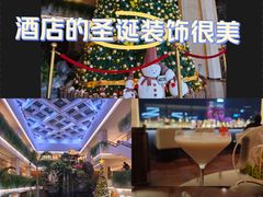 -白天鹅宾馆·月兔吧