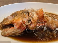 -札幌二条市场 大矶(本店)