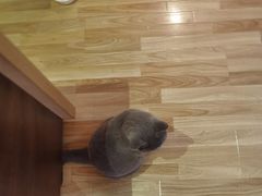 -壹人壹像工作室(购物公园店)