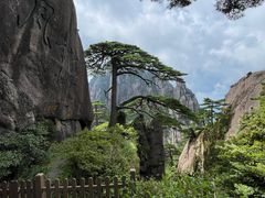 -黄山风景区