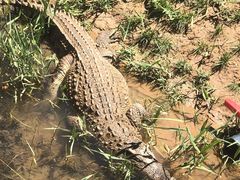 -鄂尔多斯野生动物园