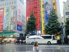 -秋叶原电器街