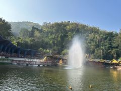 -西双版纳原始森林公园