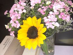 -一粒糖 · 潮汕小吃-海石花特色甜品
