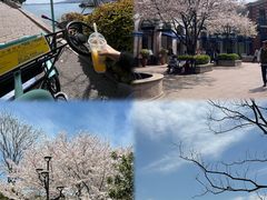 -石湖景区