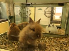 -龙猫仔乐园(惠福东路店)