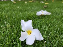 -三亚南山文化旅游区