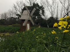 -圩墩遗址公园