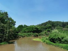 -南宁良凤江国家森林公园