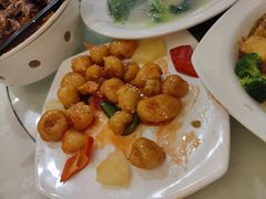 -百乐门喜宴(海珠广场华厦店)