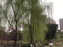 -沐仙湖湿地公园