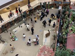 -龙湖南京江北天街