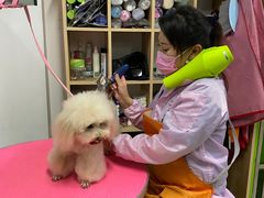 -米卢宠物公园(广华居店)