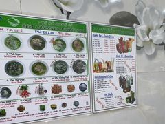 -Pho Hoa Pasteur