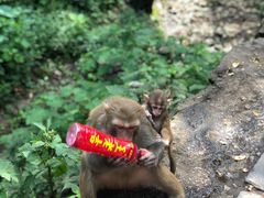 -黔灵山公园-南门售票处