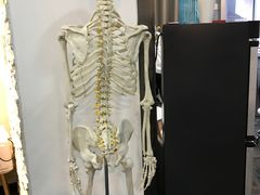 -修申骨雕小颜脊柱骨盆管理产后修复