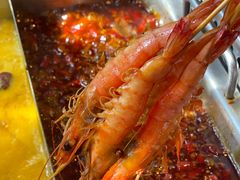 -大隐·成都火锅Bistro(合生麒麟新天地店)