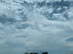 -温江公平红烧兔(总店)