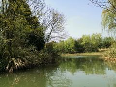 -梁鸿国家湿地公园