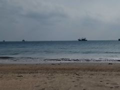-东郊椰林