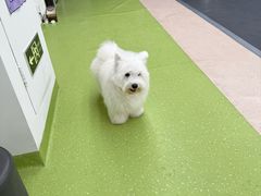 -全心全意动物诊疗中心医院(北苑店)