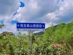 -蘇河湾·新鲁菜·泰山宴(泰山店)