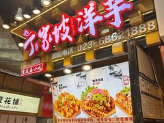 -周小亮丁家坡洋芋(全国总店)