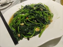 炒番薯叶-新享乐海鲜(翠华路店)