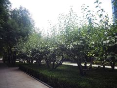 -木塔寺遗址生态公园