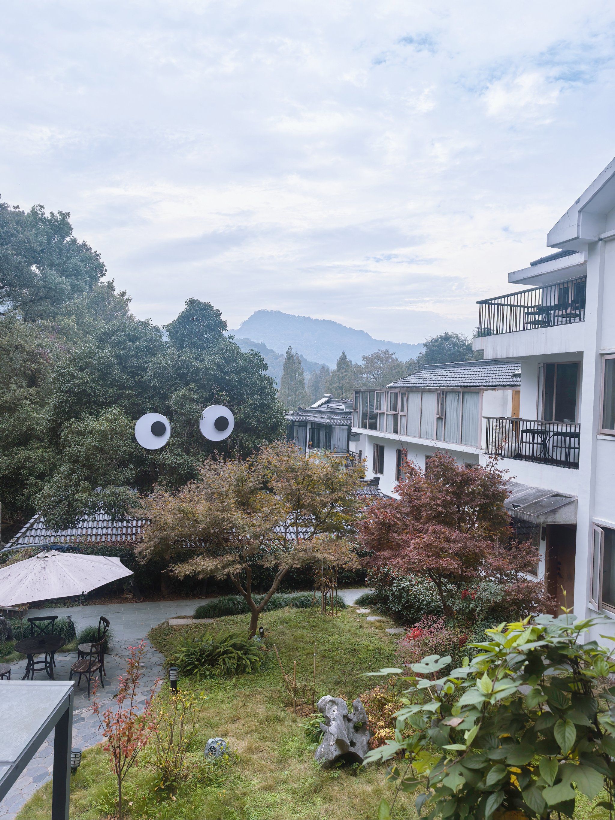 噔噔噔～看的就是你,没想到眼珠子会转,太可爱