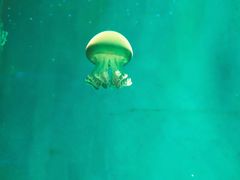 -石林冰雪海洋世界